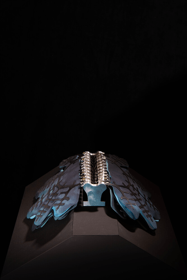 Photo: ProstheticX.eu
