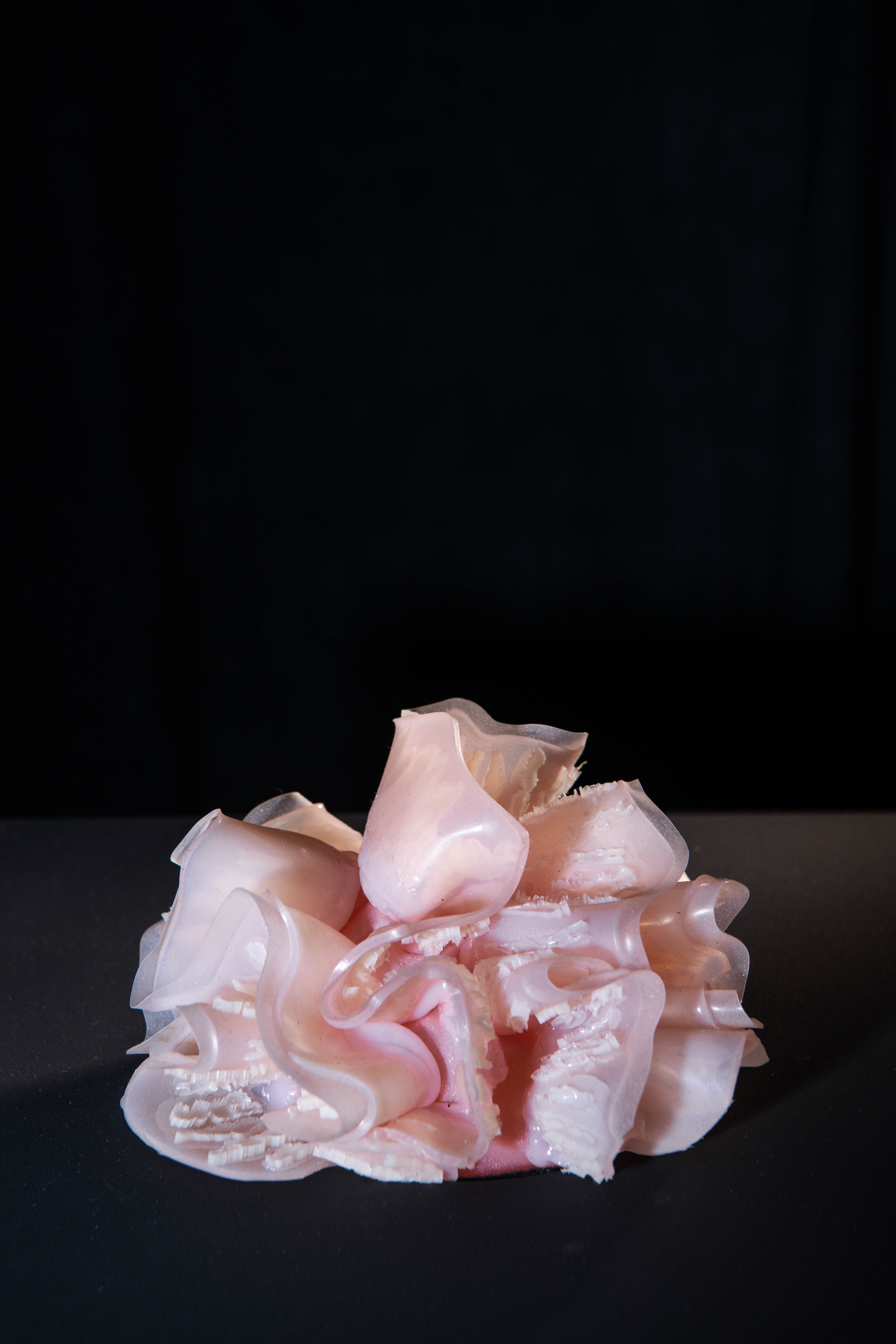 Photo: ProstheticX.eu